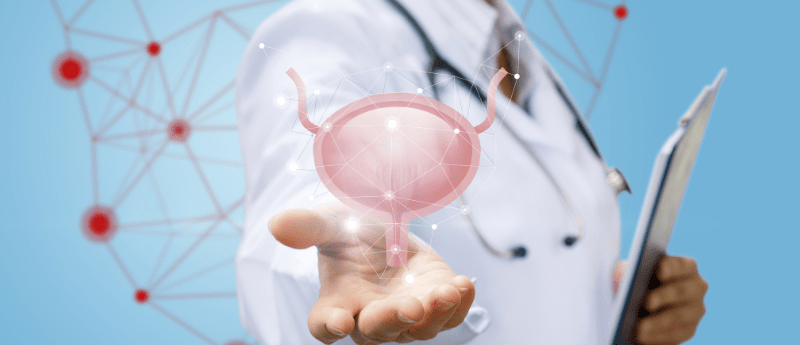 Doctor holding a digital image of a bladder on a blue background