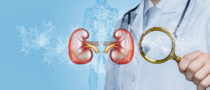 Image showing kidneys and a doctor holding a magnifying glass representing the concept of kidneys and diagnosis