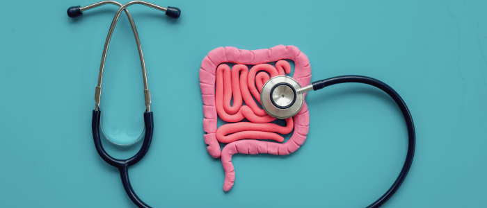 A stethoscope on a blue background 'listening' to pink fake intestines. To represent that Verantos launches Inflammatory Bowel Disease Pragmatic Registry.